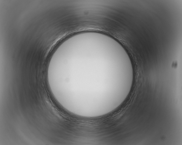 X0000116850304200912220947
