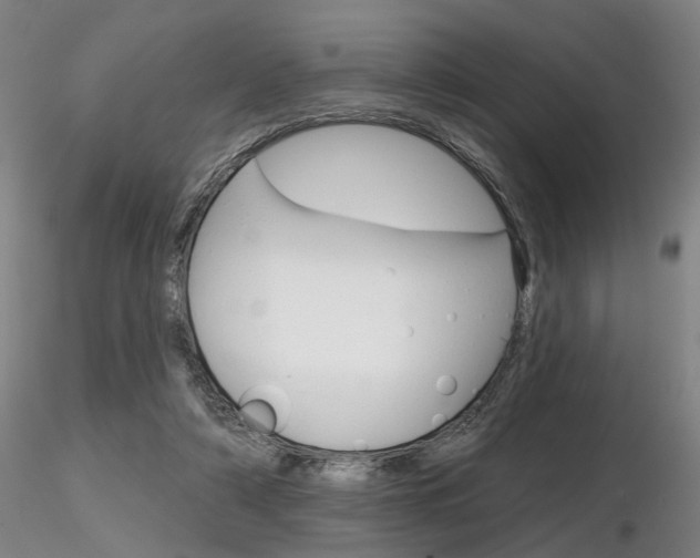 X0000116850306200912220947