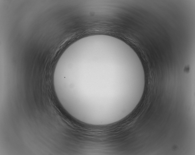 X0000116850308200912220947