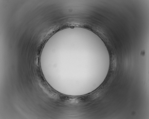 X0000116850310200912220947