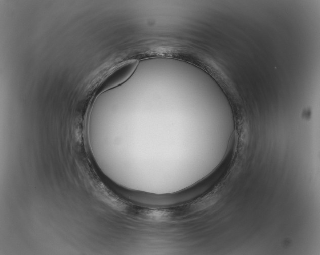 X0000116850313200912220947