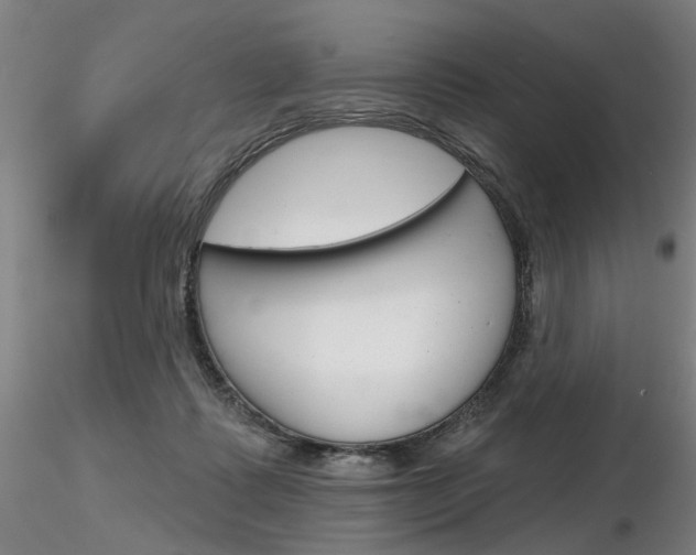 X0000116850315200912220947