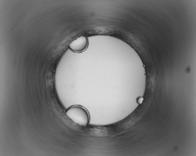 X0000116850317200912220947