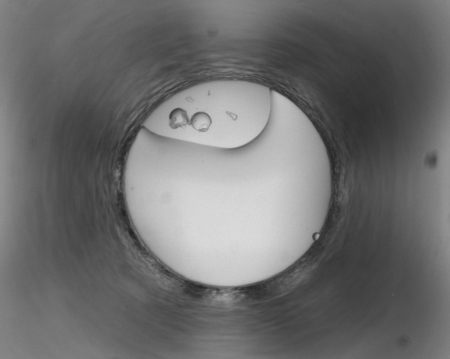 X0000116850321200912220947