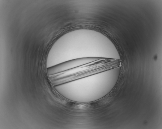 X0000116850323200912220947