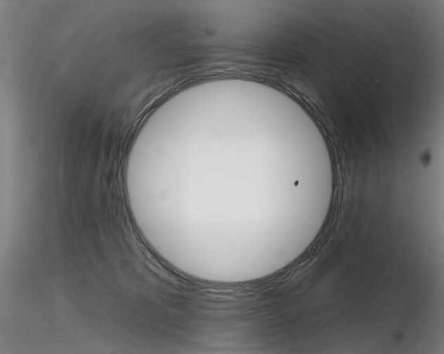 X0000116850325200912220947