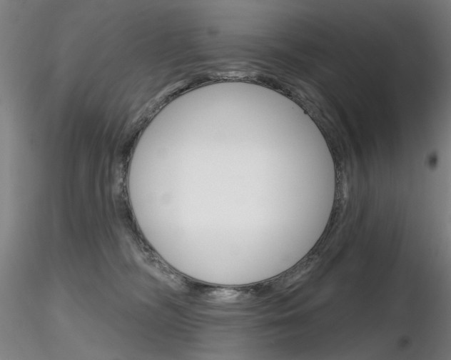 X0000116850326200912220947