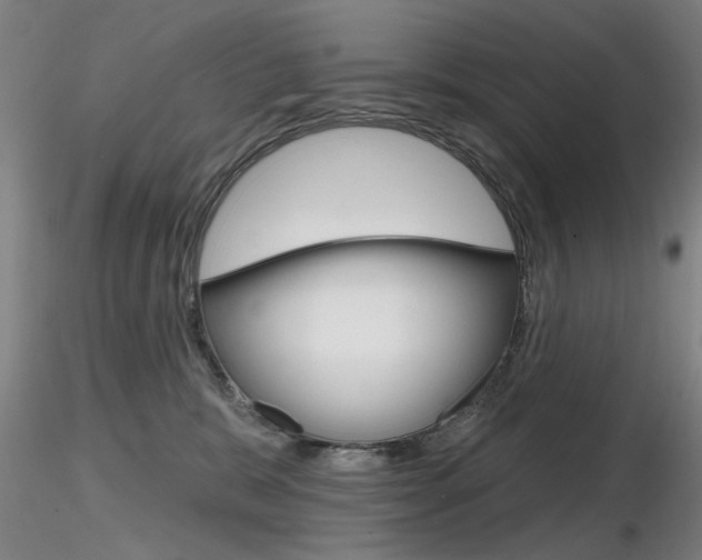X0000116850327200912220947