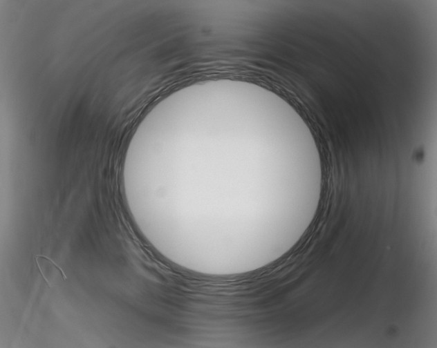 X0000116850328200912220947