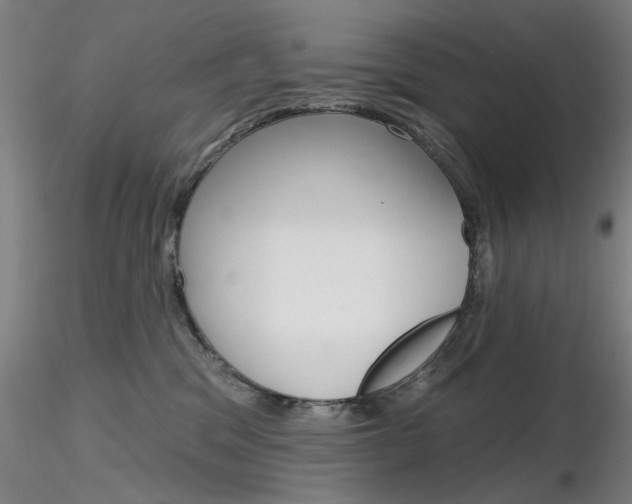 X0000116850329200912220947