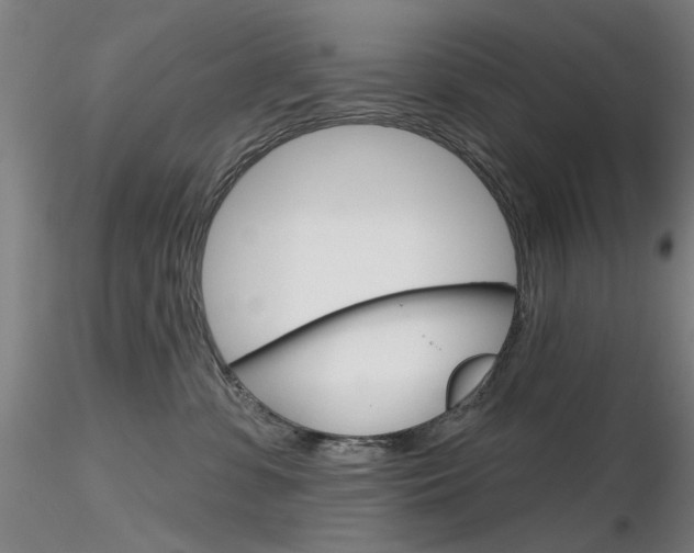 X0000116850331200912220947