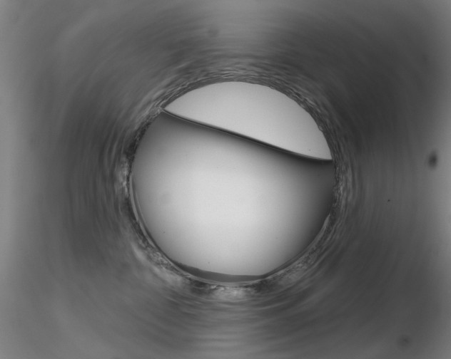 X0000116850332200912220947