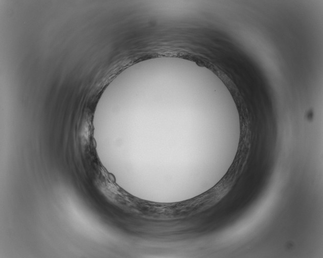 X0000116850334200912220947