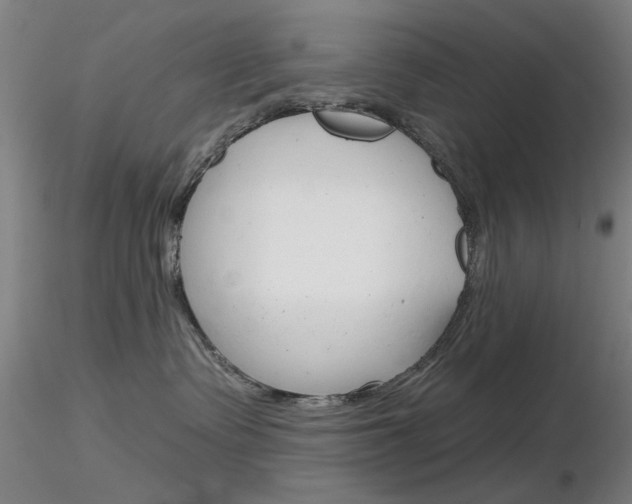 X0000116850335200912220947