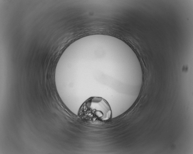 X0000116850336200912220947