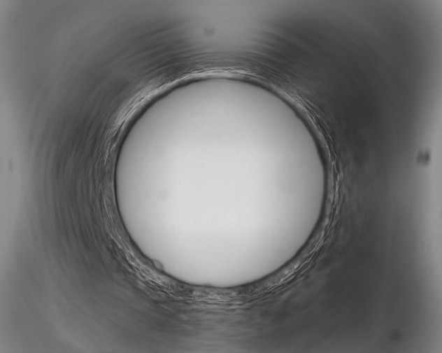 X0000116850337200912220946
