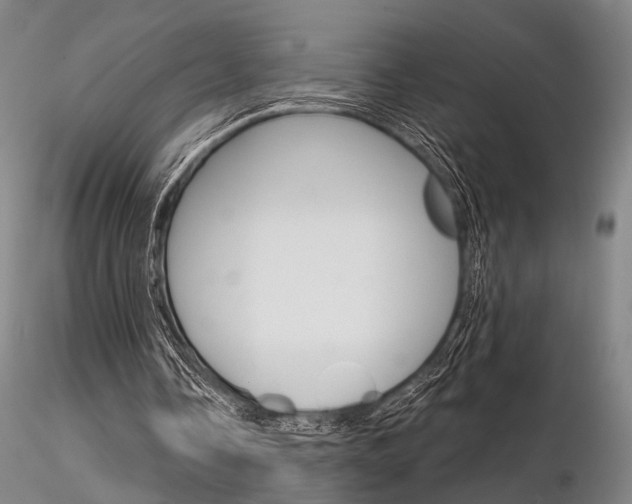 X0000116850338200912220946