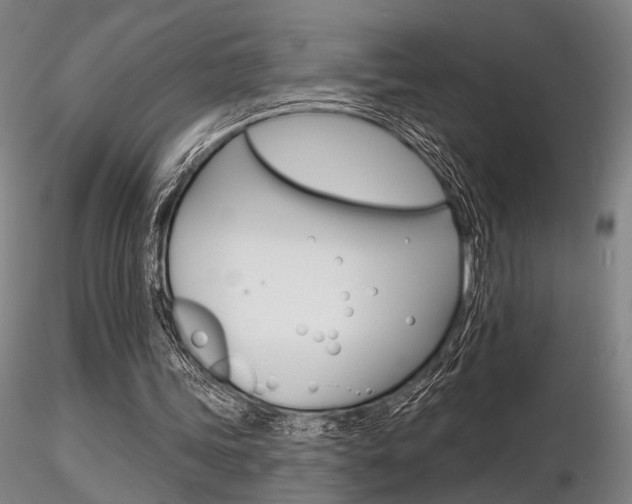 X0000116850339200912220946