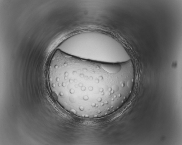 X0000116850341200912220946