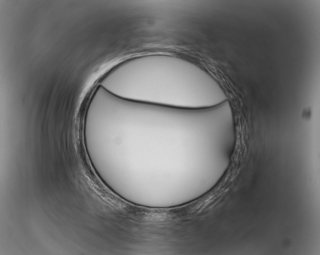 X0000116850342200912220946