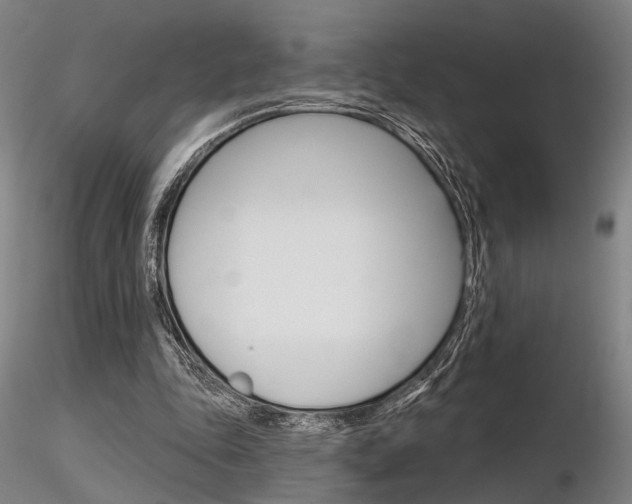 X0000116850343200912220946