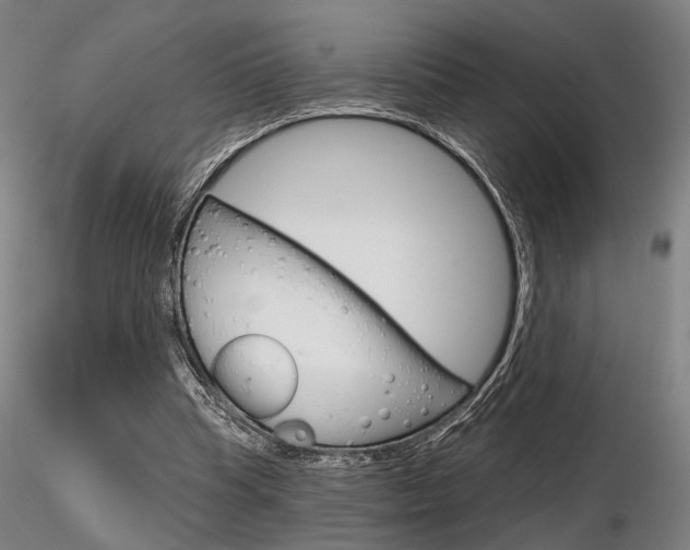 X0000116850345200912220946