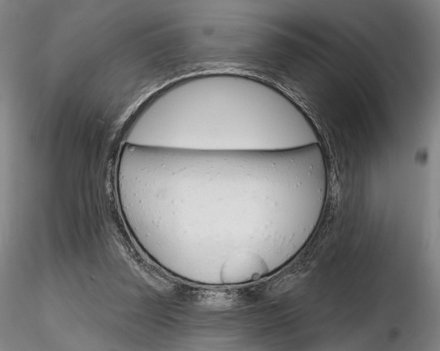 X0000116850347200912220946