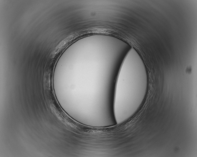 X0000116850349200912220946