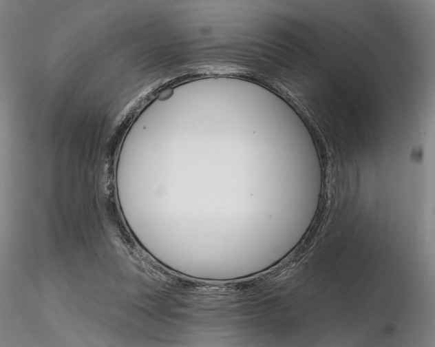 X0000116850351200912220946