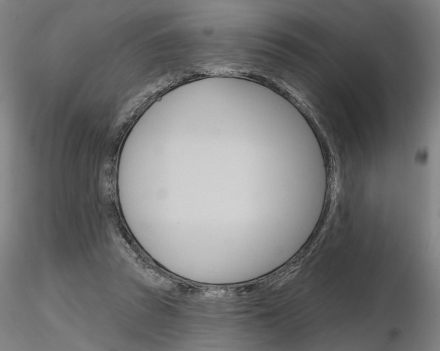 X0000116850353200912220946