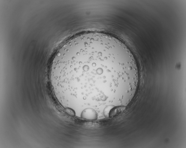 X0000116850354200912220946