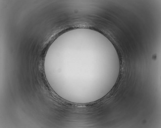 X0000116850355200912220946