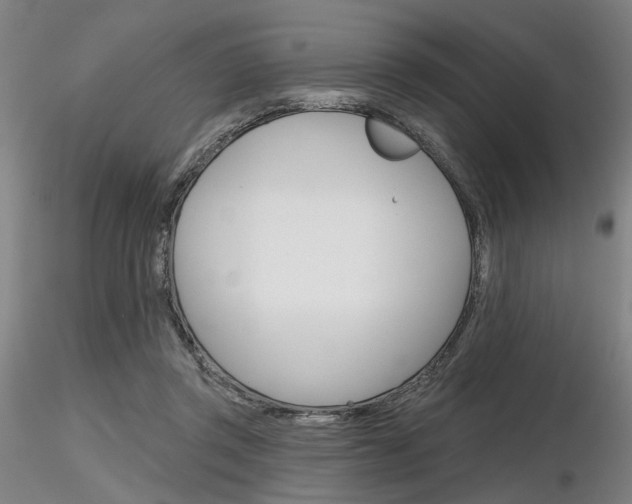 X0000116850357200912220946
