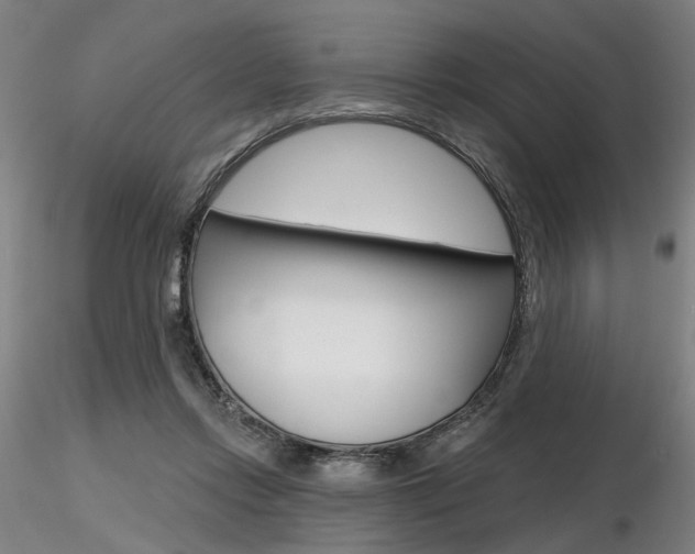 X0000116850358200912220946