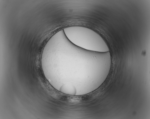 X0000116850359200912220946