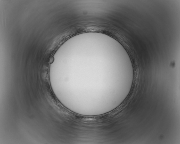 X0000116850361200912220946
