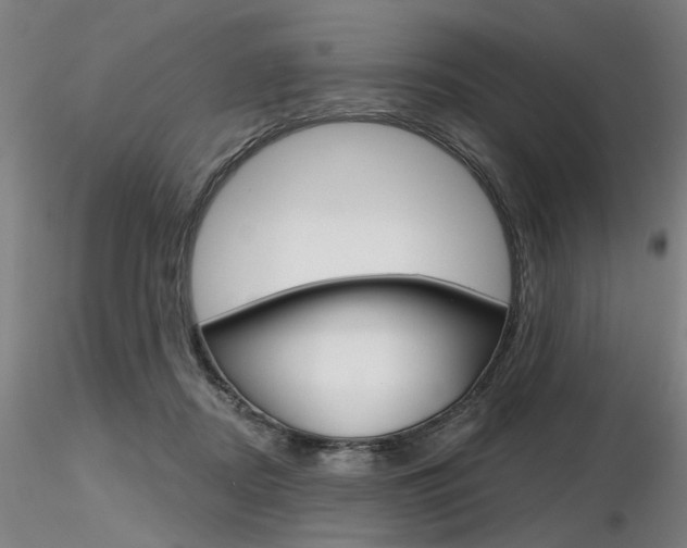 X0000116850362200912220946