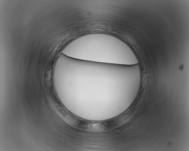 X0000116850365200912220947