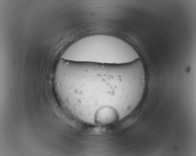 X0000116850366200912220947