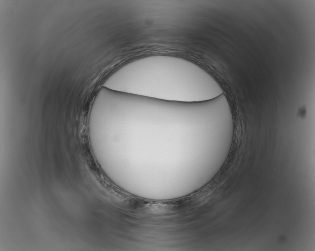 X0000116850367200912220947