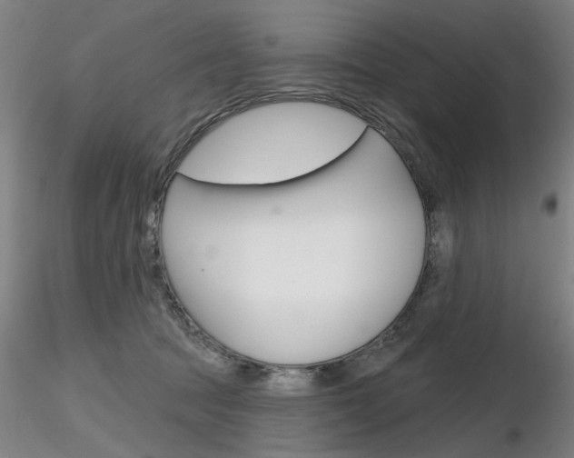 X0000116850369200912220947