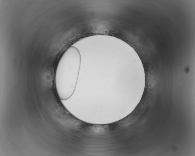 X0000116850370200912220947