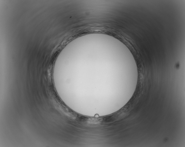 X0000116850373200912220947