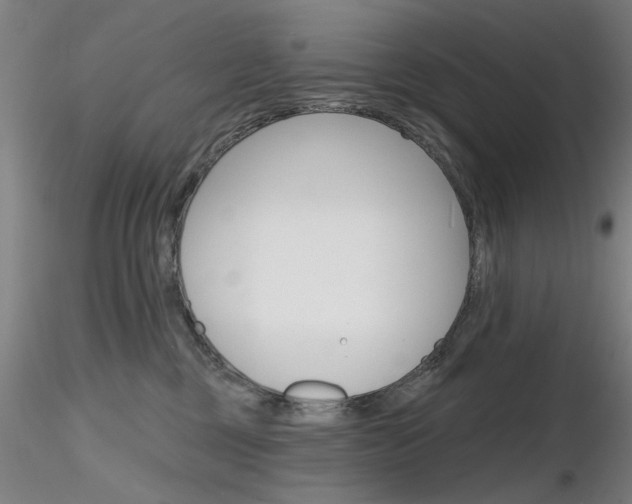 X0000116850377200912220947