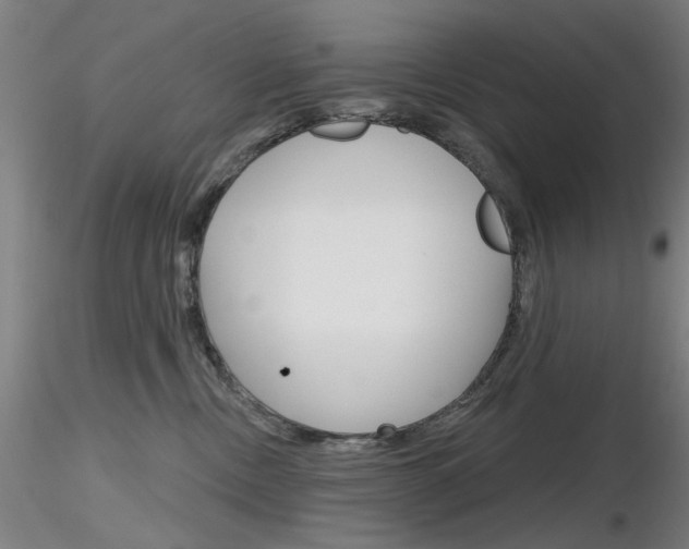 X0000116850378200912220947