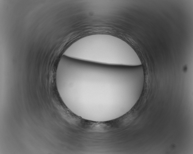 X0000116850379200912220947