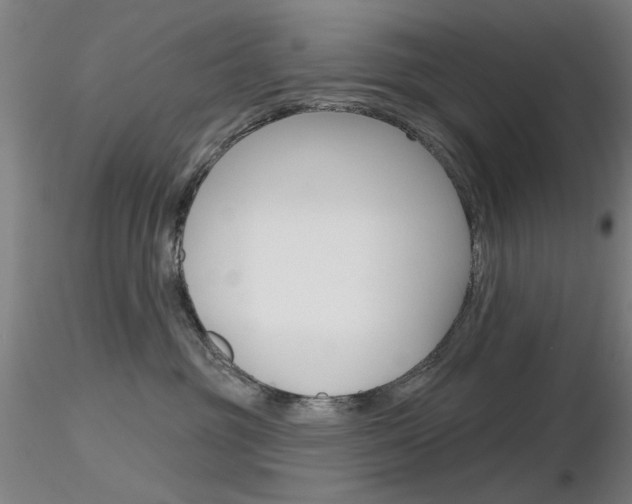 X0000116850381200912220947