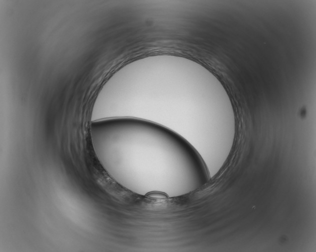 X0000116850382200912220947
