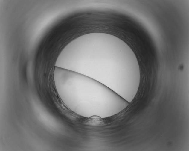 X0000116850383200912220947