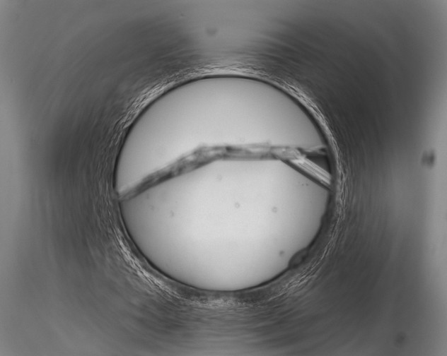 X0000116850385200912220946
